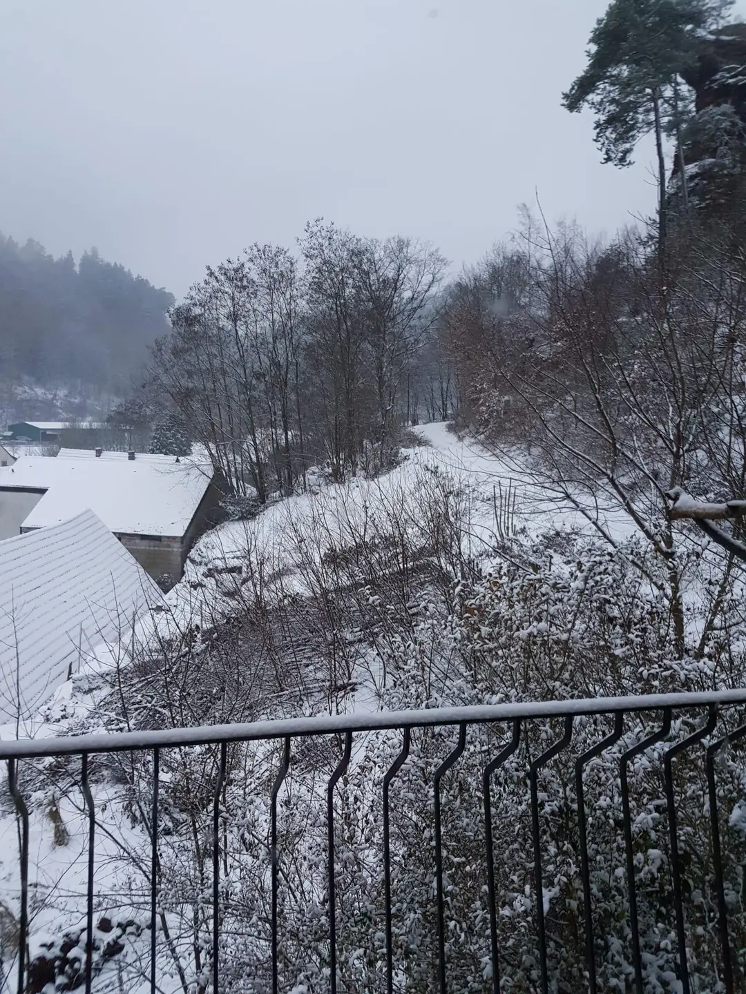 Winterlicher Ausblick